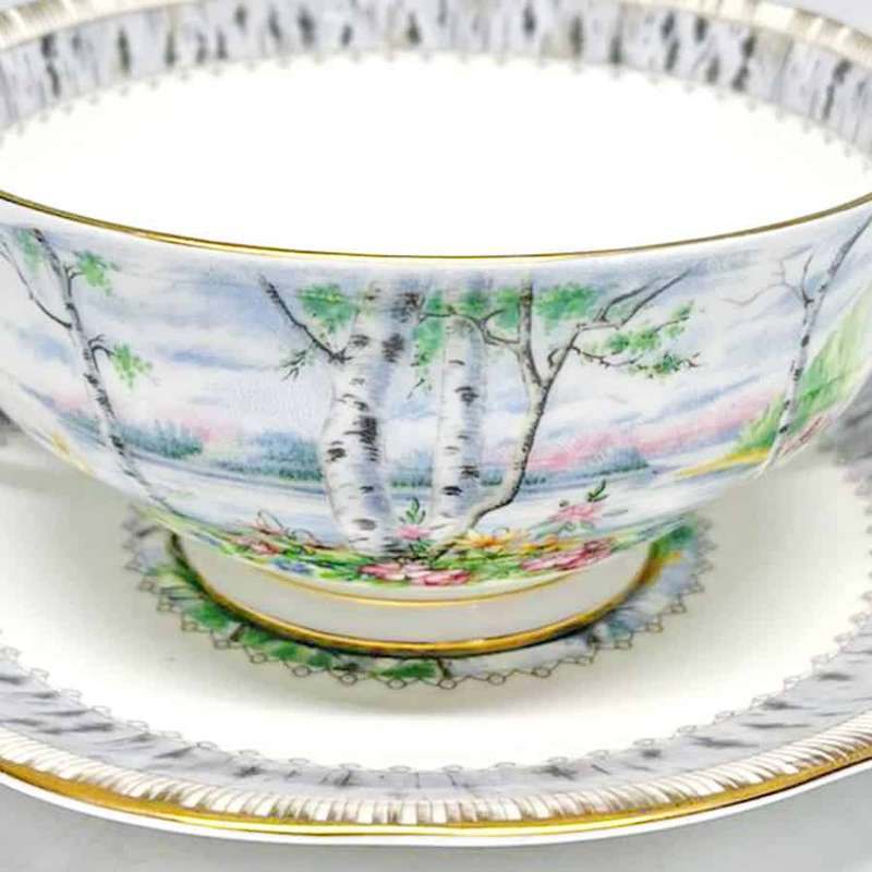 Royal Albert Silver Birch Soup Coupe