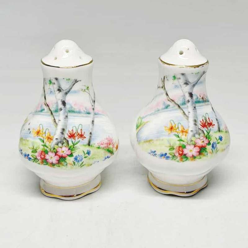Royal Albert Silver Birch Salt and Pepper