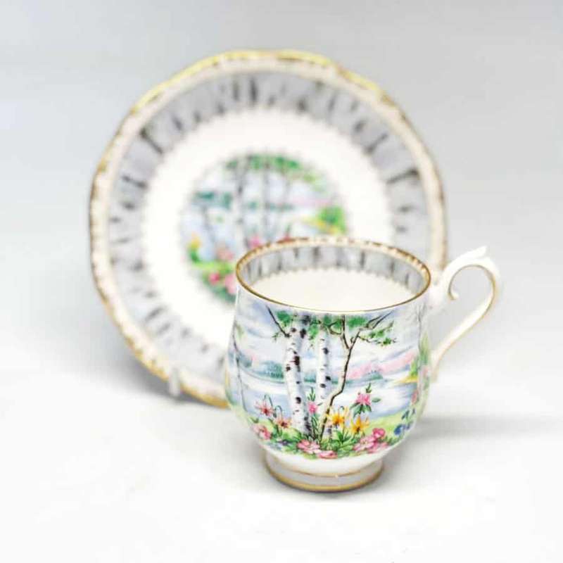 Royal Albert Silver Birch Demitasse Duo