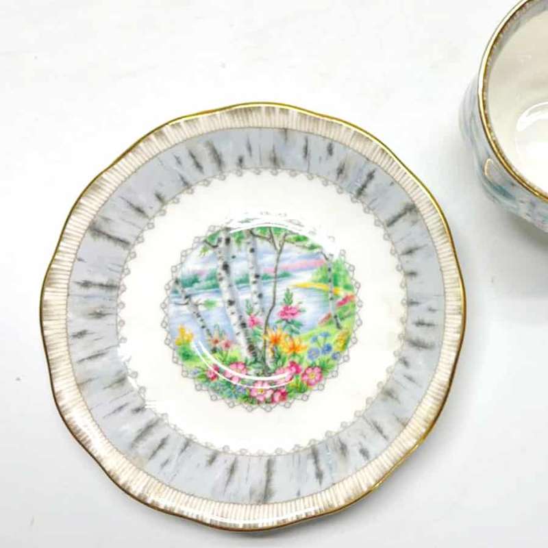 Royal Albert Silver Birch Demitasse Duo