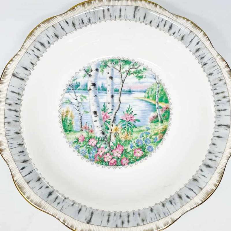 Royal Albert Silver Birch Salad Bowl