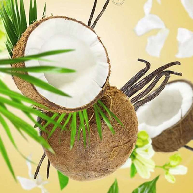 Coconut Monoi - Lampe Berger Fragrance 500ml