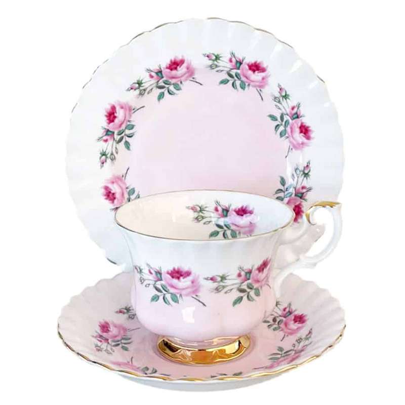 Royal Albert Tea Trio Moss Rose With Pink and White Bands