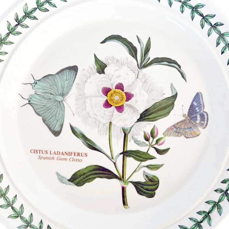 Portmeirion Botanic Garden Side Plate Spanish Gum Cistus