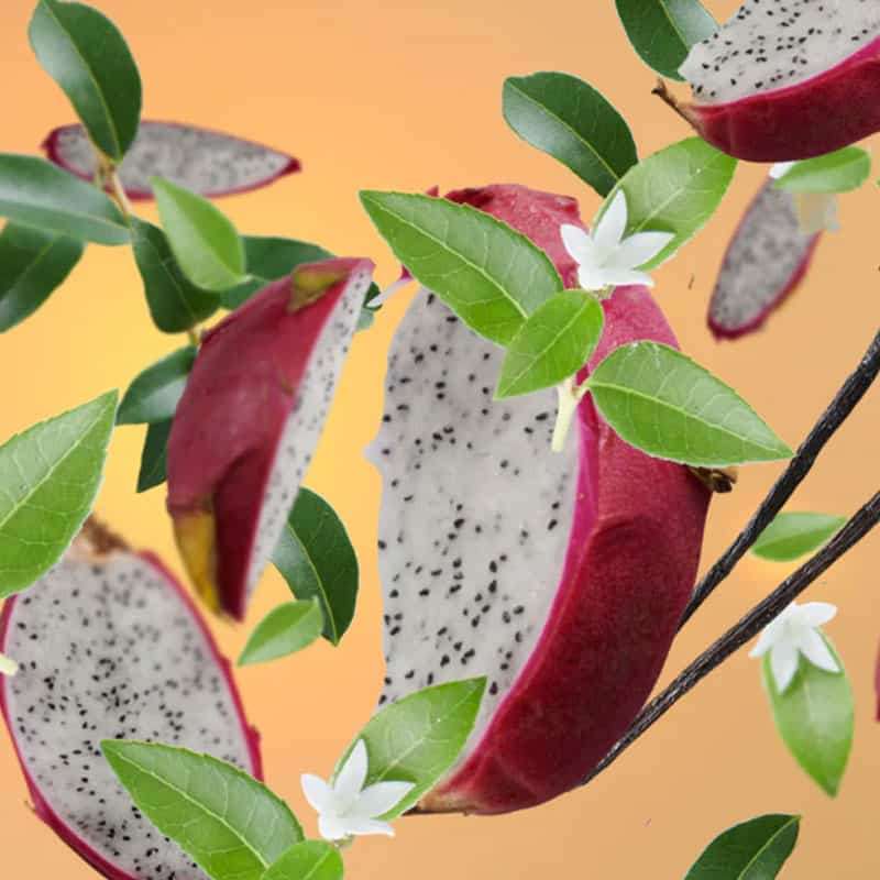 Water Fruits - Lampe Berger Fragrance