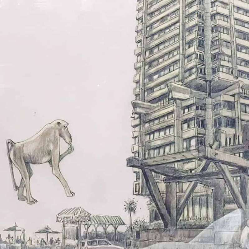Carl Becker Building Baboon And Man 2007