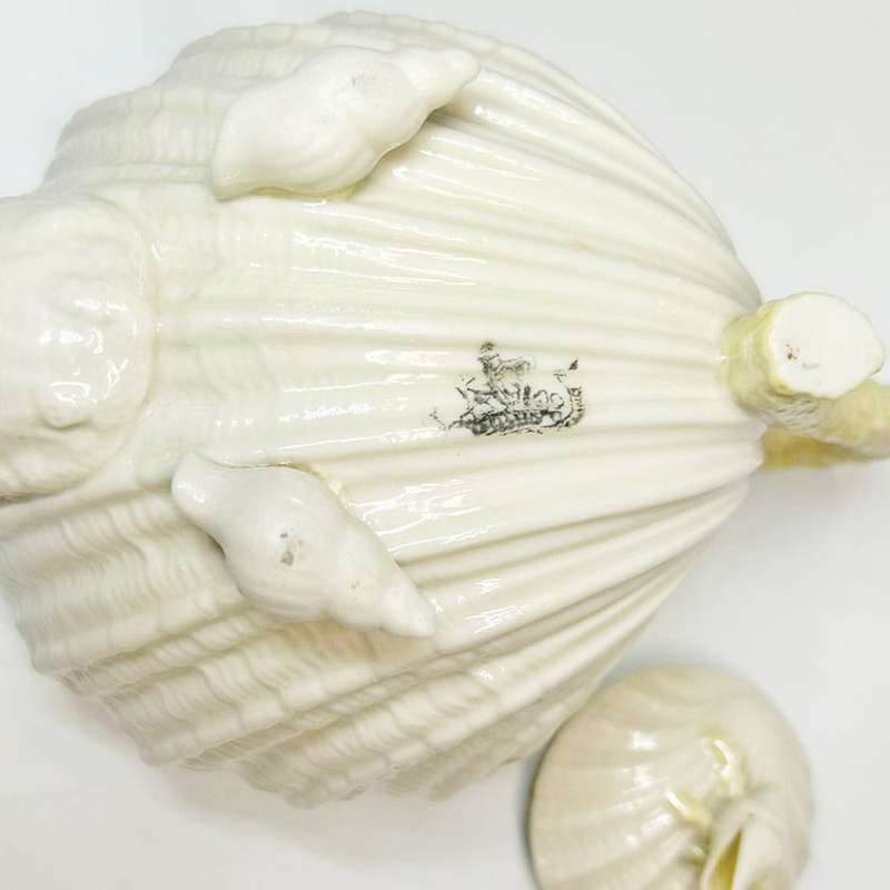 Belleek Neptune Yellow Shell Tea Pot