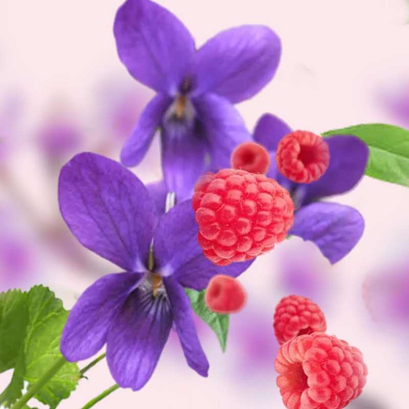 Miss Violet - Lampe Berger Fragrance 1 Liter