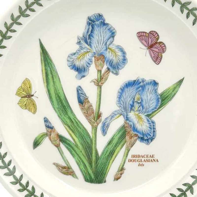 Portmeirion Botanic Garden  Entree Plate Iris