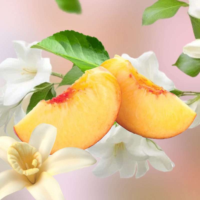 Sunny Peach - Lampe Berger Fragrance 500ml