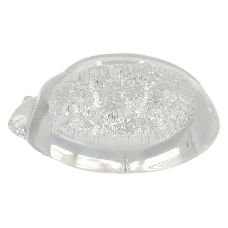 Daum France Glass Tortoise Paperweight