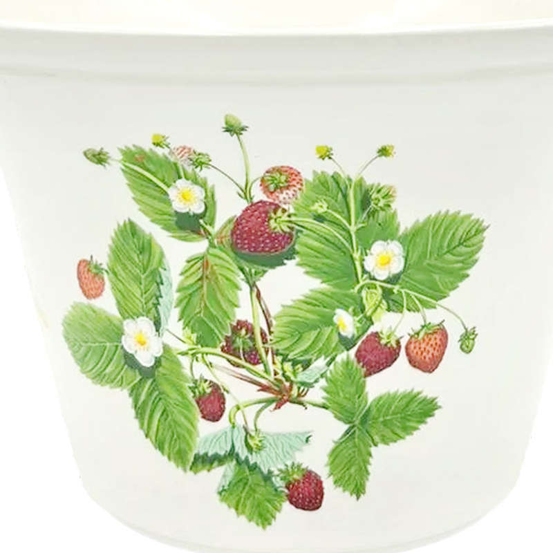 Portmeirion Summer Strawberries Jardiniere 15.5cm