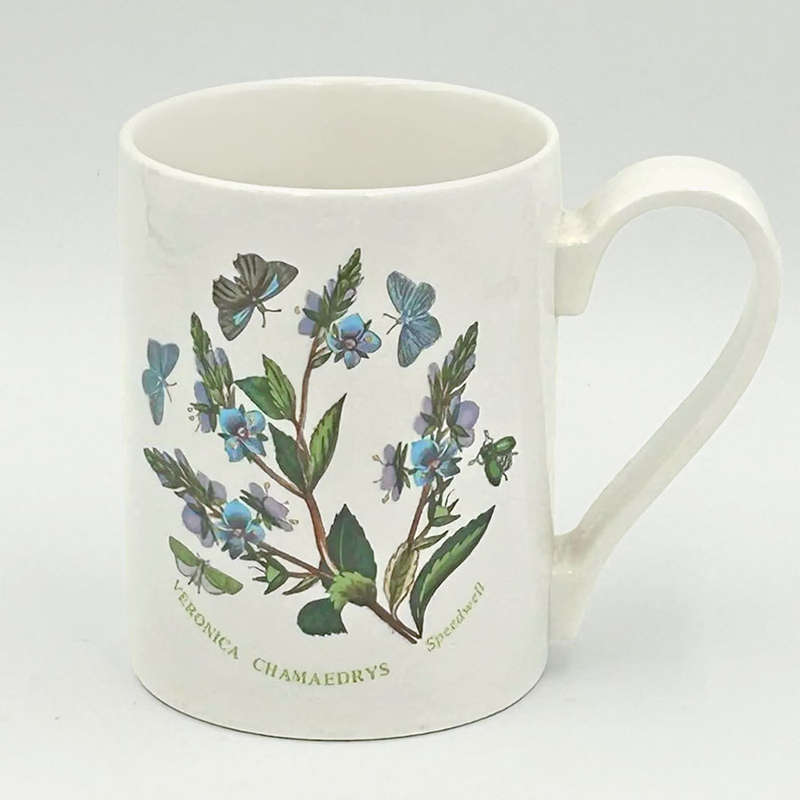 Portmeirion Botanic Garden Coffee Mug Speedwell