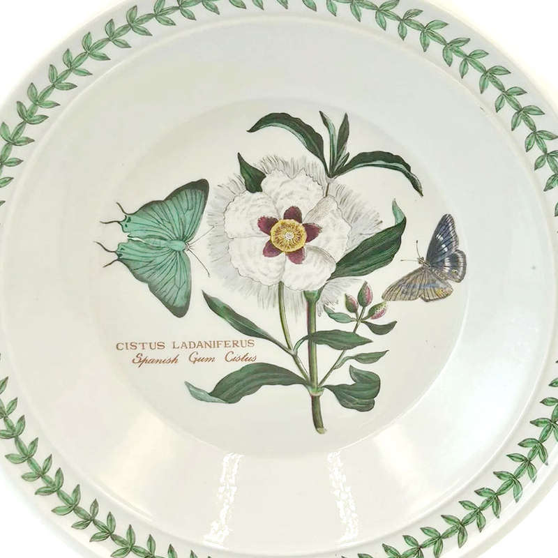 Portmeirion Cereal Bowl Botanic Garden Spanish Gum