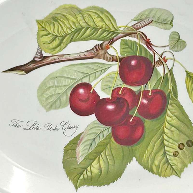 Portmeirion Pomona Main Platter Late Duke Cherry