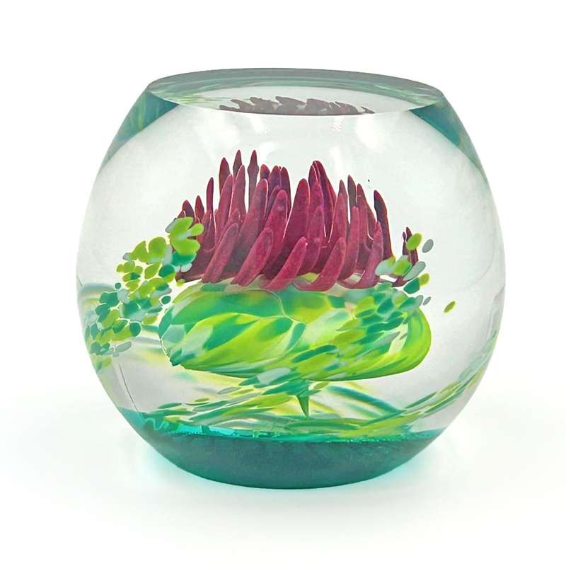 Caithness Scotland Caledonian Thistle  Glass Paperweight