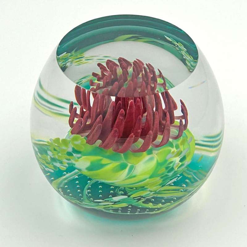 Caithness Scotland Caledonian Thistle  Glass Paperweight