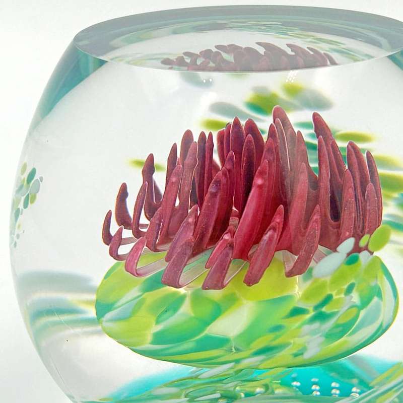 Caithness Scotland Caledonian Thistle  Glass Paperweight