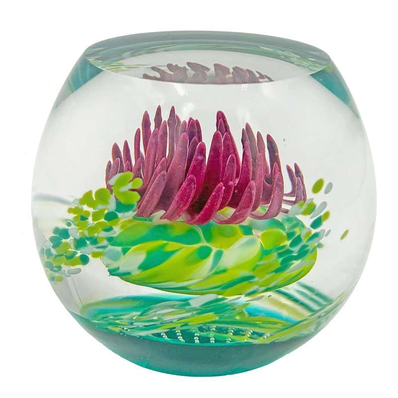 Caithness Scotland Caledonian Thistle  Glass Paperweight
