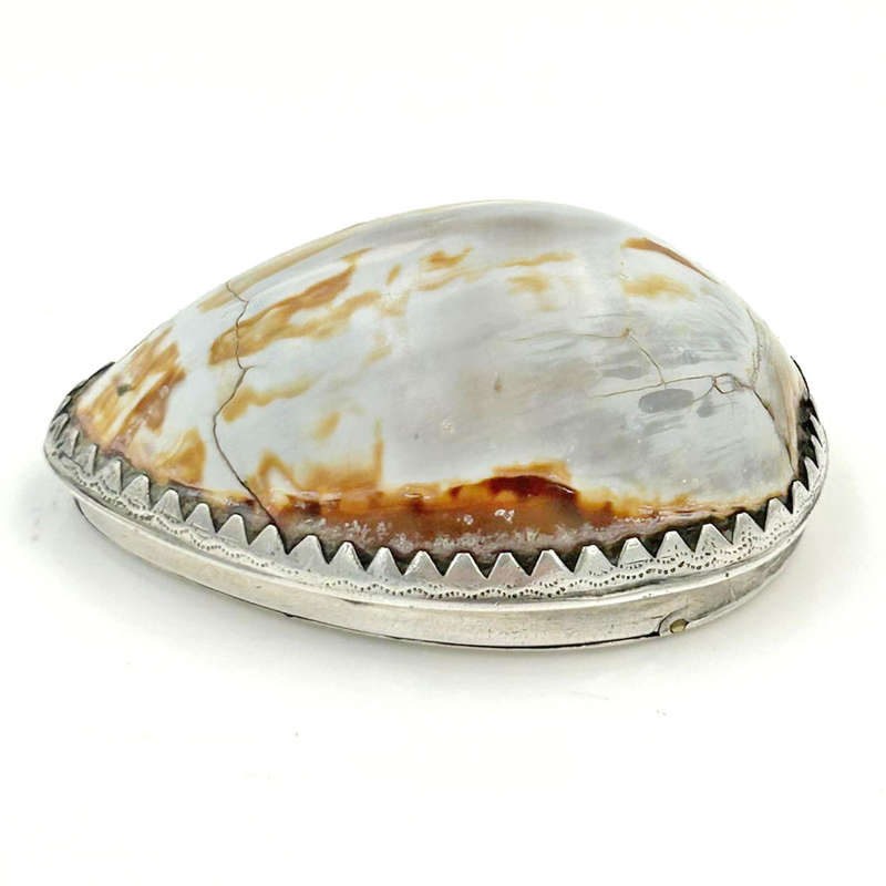 Cape Silver Mounted Cowrie Shell Snuffbox  Daniel Beets 1817