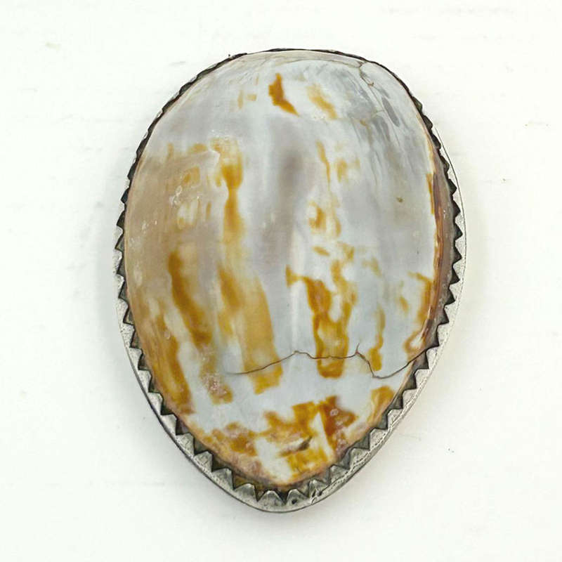 Cape Silver Mounted Cowrie Shell Snuffbox  Daniel Beets 1817