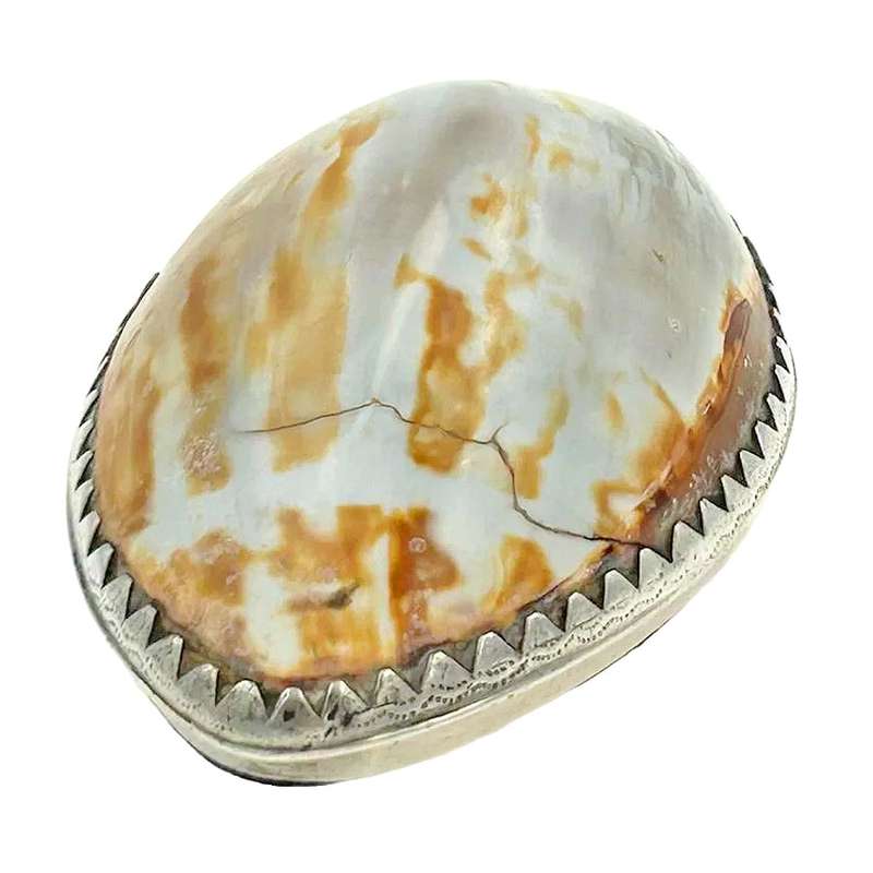 Cape Silver Mounted Cowrie Shell Snuffbox  Daniel Beets 1817