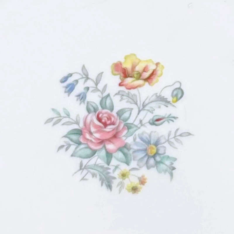 Paragon Dubarry Entree Plate