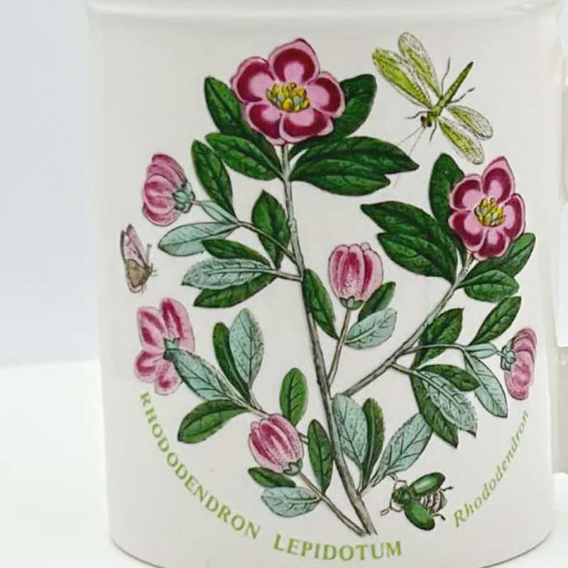 Portmeirion Botanic Garden Coffee Mug Rhododendron