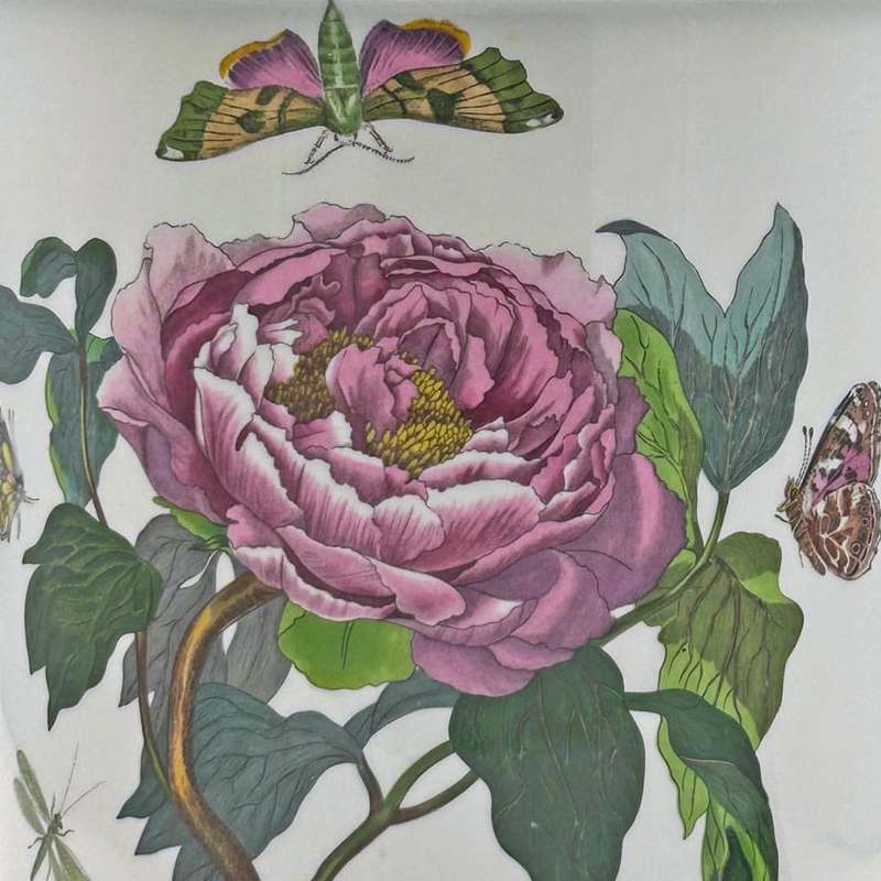 Portmeirion Botanic Garden Lidded Jar Shrubby Peony