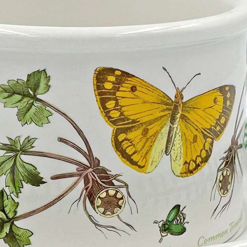Portmeirion Botanic Garden Serving Bowl On Stand Common Tomentil
