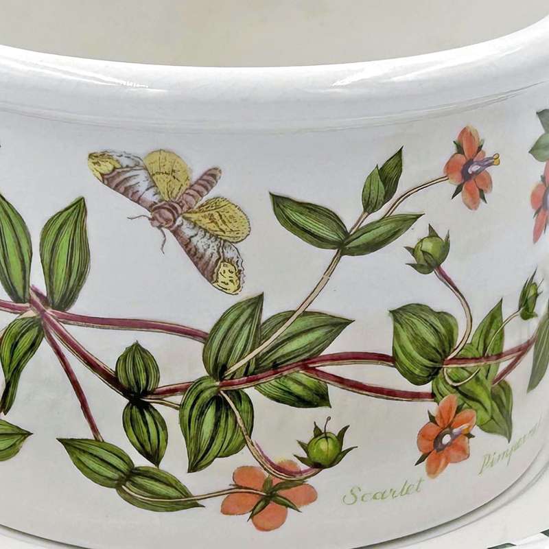Portmeirion Botanic Garden Serving Bowl On Stand Scarlet Pimpernel