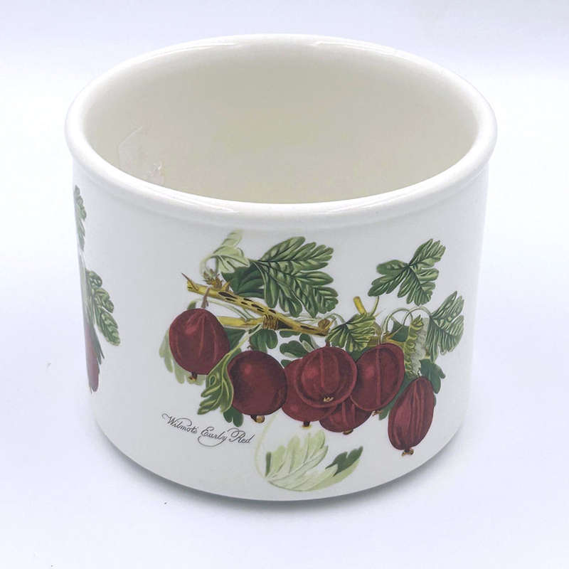 Portmeirion Pomona Jardiniere Wilmots Early Red 10cm
