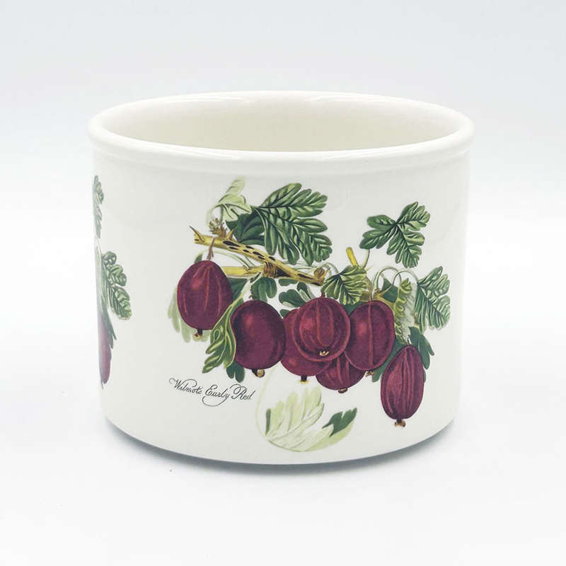 Portmeirion Pomona Jardiniere Wilmots Early Red 10cm