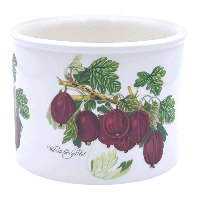 Portmeirion Pomona Jardiniere Wilmots Early Red 10cm