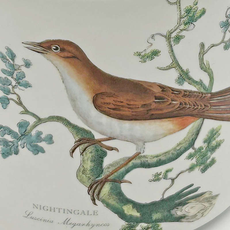 Portmeirion Birds Of Britain Jardiniere Nightingale
