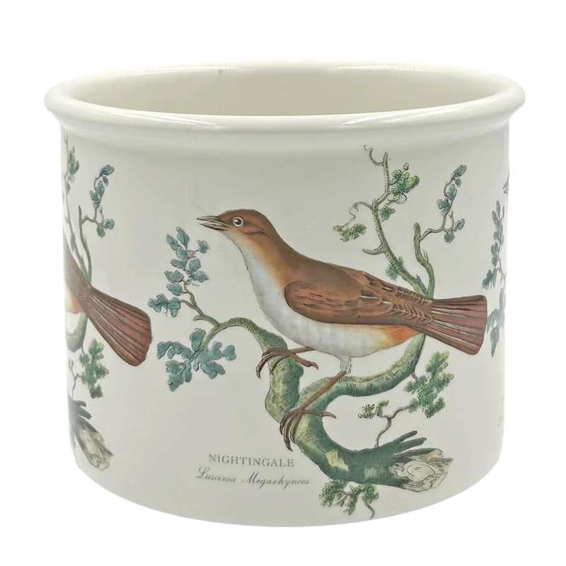 Portmeirion Birds Of Britain Jardiniere Nightingale