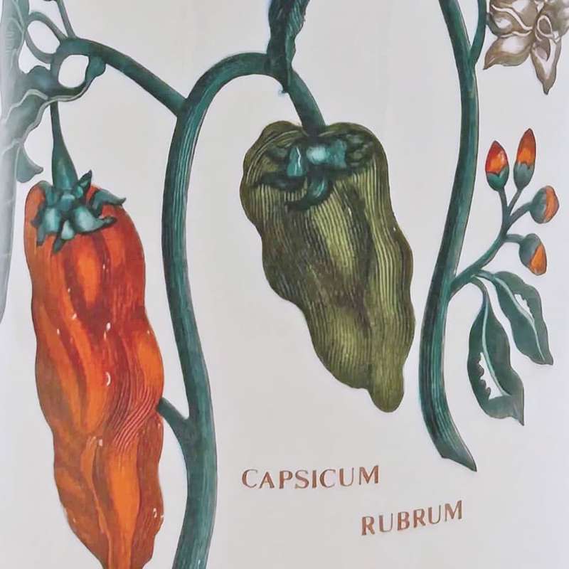 Portmeirion Botanic Garden Bottle Red Pepper