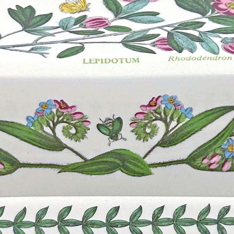 Portmeirion Botanic Garden Butter Dish  Rhododendron