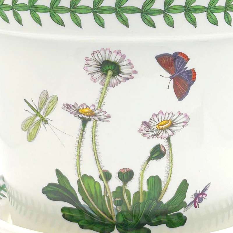 Portmeirion Botanic Garden Daisy Planter and Tray