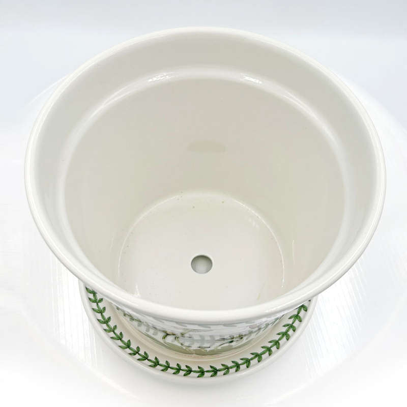 Portmeirion Botanic Garden Daisy Planter and Tray