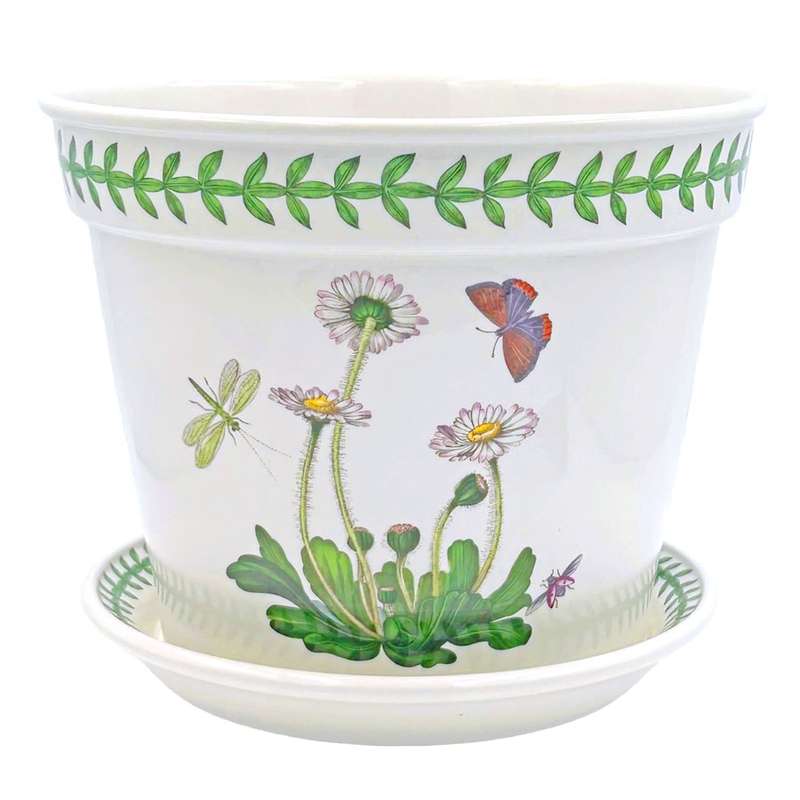 Portmeirion Botanic Garden Daisy Planter and Tray