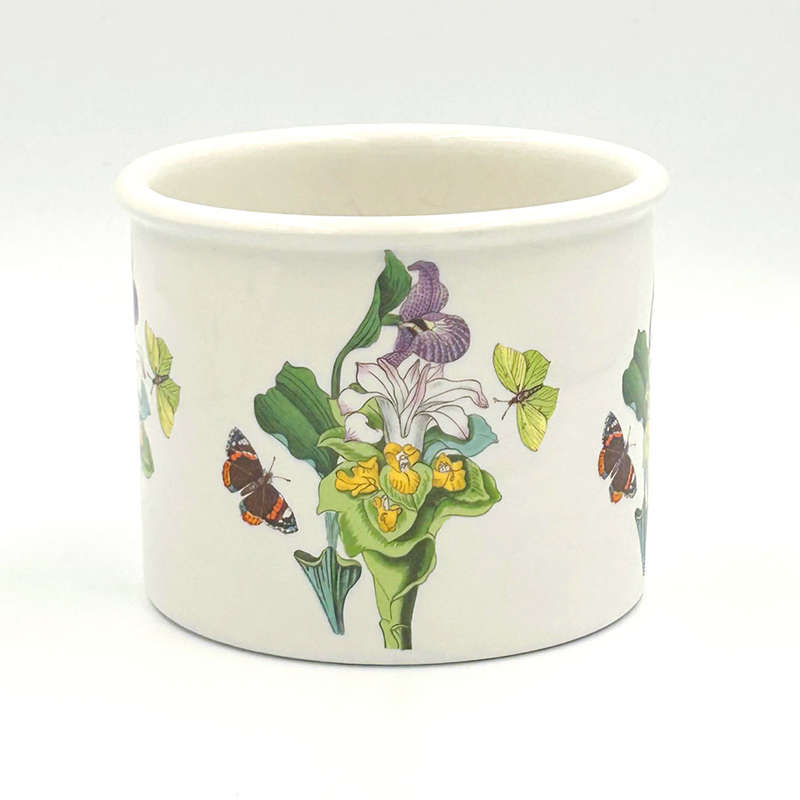 Portmeirion Botanic Garden Jardiniere Orchid 10cm