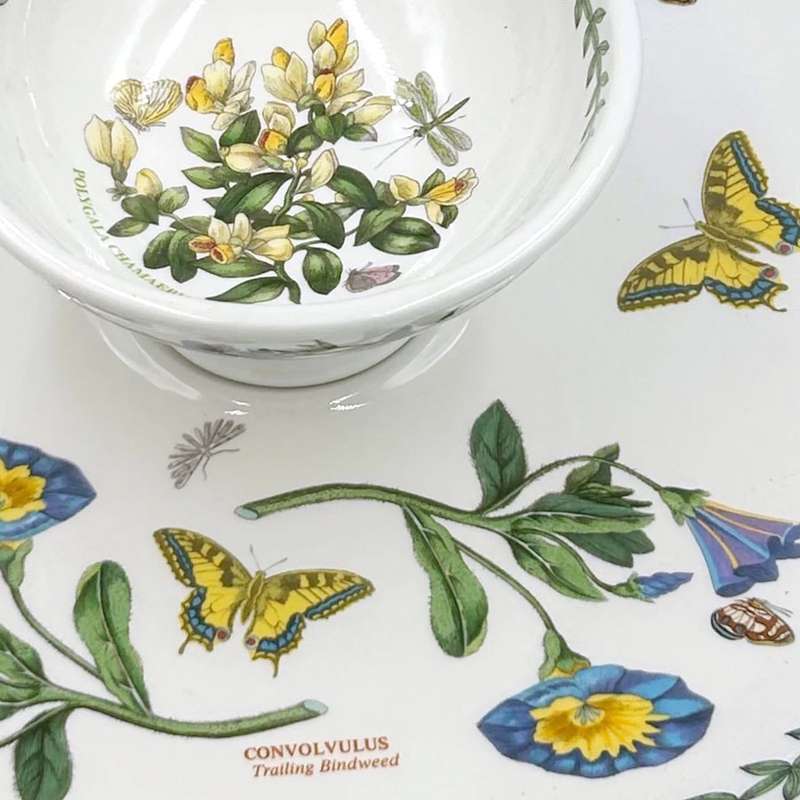 Portmeirion Botanic Garden Snack Platter With Dip Bowl Trailing Bindweed