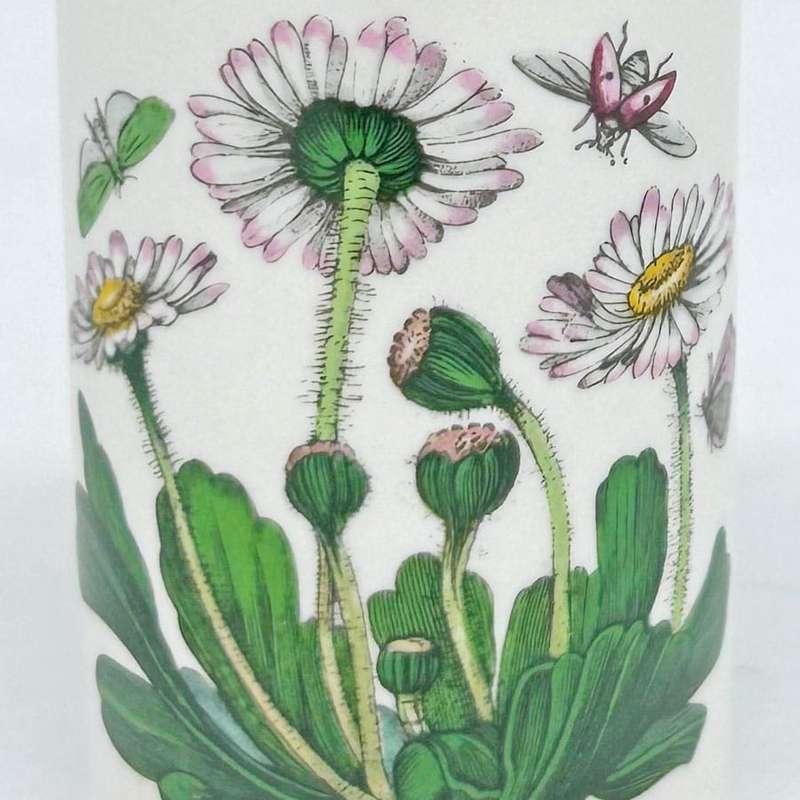 Portmeirion Botanic Garden Salt Cellar Daisy