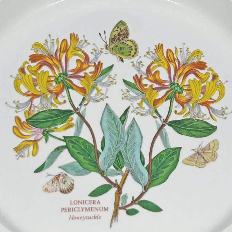 Portmeirion Honeysuckle Pie Dish