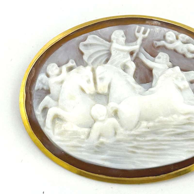 18ct Gold Conch Shell Purple Hue Cameo Brooch