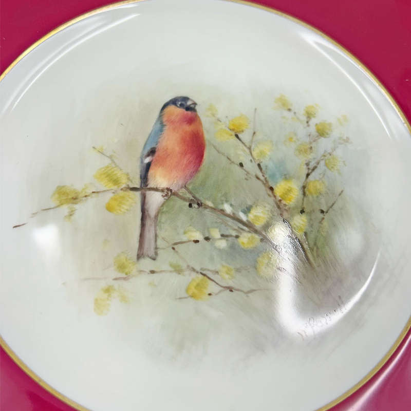 Royal Worcester Bullfinch Plate Hand Painted W Powell