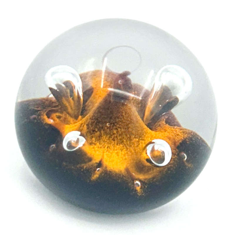 Caithness Scotland Art Glass Paperweight Moonflower 1990