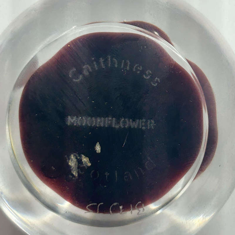 Caithness Scotland Art Glass Paperweight Moonflower 1990