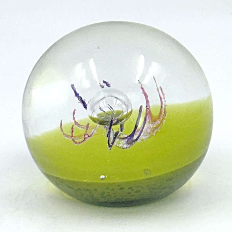 Caithness Scotland Antennae Art Glass Paperweight LTD Edition
